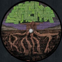 LP platňa Siena Root - The Secret Of Our Time (LP) - 2