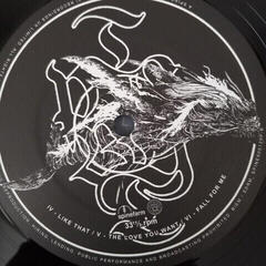 LP deska Sleep Token - This Place Will Become Your Tomb (Reissue) (Clear & Black Marbled) (2 LP) - 3