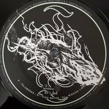 Vinyylilevy Sleep Token - This Place Will Become Your Tomb (Reissue) (Clear & Black Marbled) (2 LP) - 6