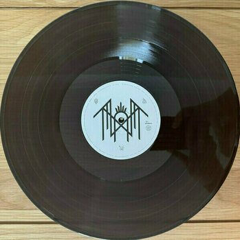 Vinyl Record Sleep Token - Sundowning (Black Ice Coloured) (2 LP) - 2