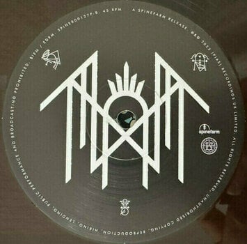 Płyta winylowa Sleep Token - Sundowning (Black Ice Coloured) (2 LP) - 6