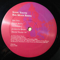 LP ploča Sonic Youth - Bad Moon Rising (Reissue) (LP) - 2