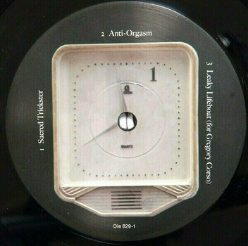 Vinylskiva Sonic Youth - Eternal (Reissue) (LP) - 2