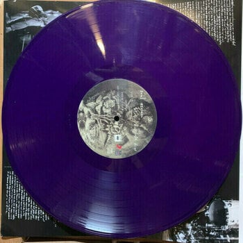 Vinyylilevy Soul Asylum - Let Your Dim Light Shine (Limited Edition) (Purple Coloured) (LP) - 2