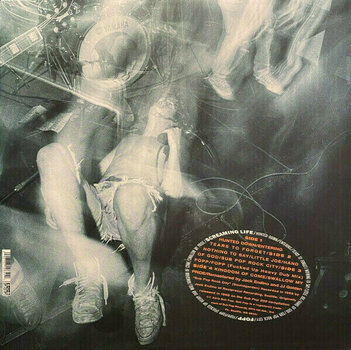 Vinyl Record Soundgarden - Screaming Life / Fopp (Reissue) (2 x 12" Vinyl) - 6
