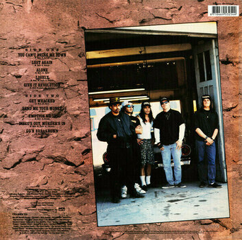 Płyta winylowa Suicidal Tendencies - Lights Camera Revolution (Reissue) (180g) (LP) - 4