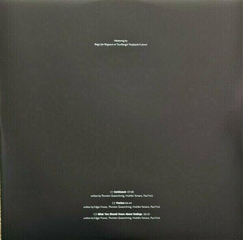 LP deska Tangerine Dream - Raum (Limited Edition) (Orange Coloured) (2 LP) - 8