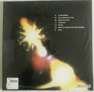 LP platňa Tangerine Dream - Raum (Limited Edition) (Orange Coloured) (2 LP) - 11