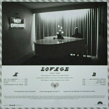 Vinyl Record Timber Timbre - Lovage (LP) - 5