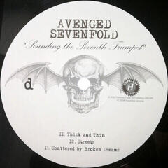 LP ploča Avenged Sevenfold - Sounding The Seventh Trumpet (Limited Edition) (Purple Coloured) (2 LP) - 5