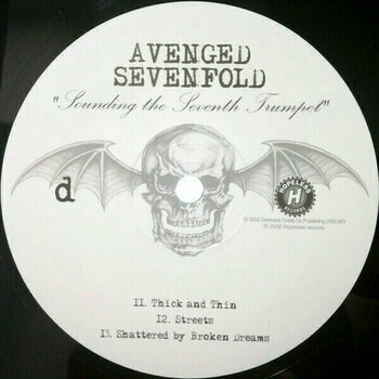 LP Avenged Sevenfold - Sounding The Seventh Trumpet (Limited Edition) (Reissue) (2 LP) - 5