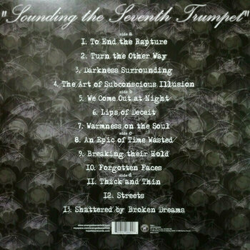 Δίσκος LP Avenged Sevenfold - Sounding The Seventh Trumpet (Limited Edition) (Reissue) (2 LP) - 6