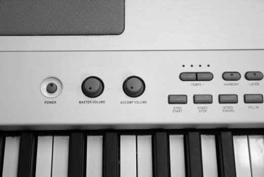 Digitális zongora Pianonova HP-1 White V2 - 3