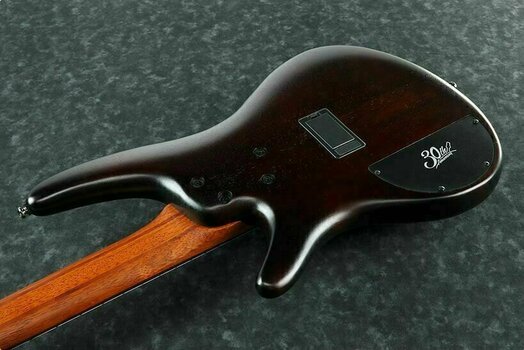 Basse 5 cordes Ibanez SR30TH5II-DEF - 2