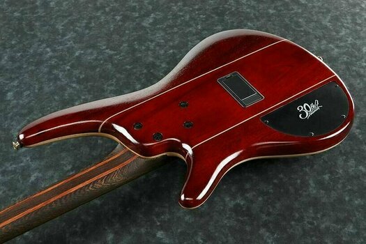 Basse électrique Ibanez SR30TH4PII-FNL - 2