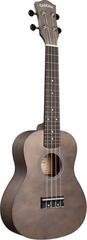 Konserttiukulele Cascha CUC101S Black Konserttiukulele - 1