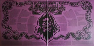 Vinylskiva Beartooth - Below (LP) - 5