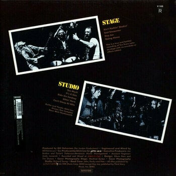 Δίσκος LP Alvin Lee - Ride On (Reissue) (180g) (LP) - 2