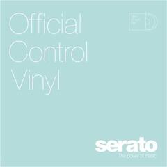 DVS/Timecode Serato Performance Vinyl DVS/Timecode Glow In The Dark Fluorescent - 2