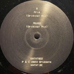 Schallplatte Charlotte De Witte - Power Of Thought (12" Vinyl) - 2