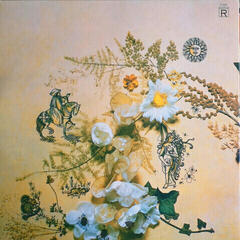 LP deska Magna Carta - Seasons (Reissue) (LP) - 3