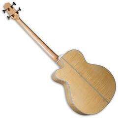 Bajo acústico Takamine GB72CE Natural Bajo acústico - 1