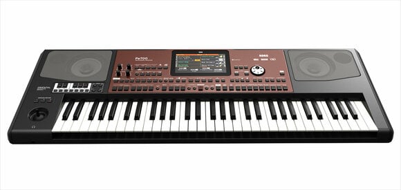 Professional Keyboard Korg Pa700 Oriental - 6
