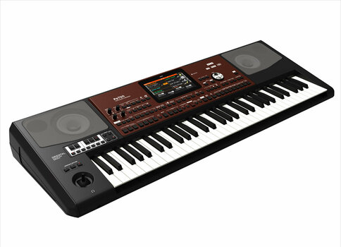 Professional Keyboard Korg Pa700 Oriental - 10
