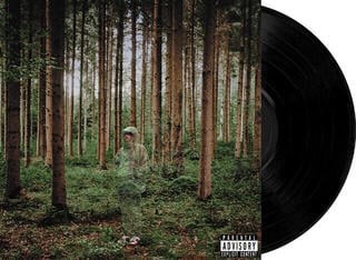 LP deska Grandson - I Love You, I'm Trying (LP) - 1