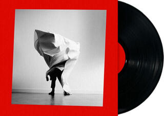 Disque vinyle Mother Mother - Grief Chapter (LP) - 1