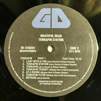 Vinyylilevy Grateful Dead - Terrapin Station (Remastered) (LP) - 4