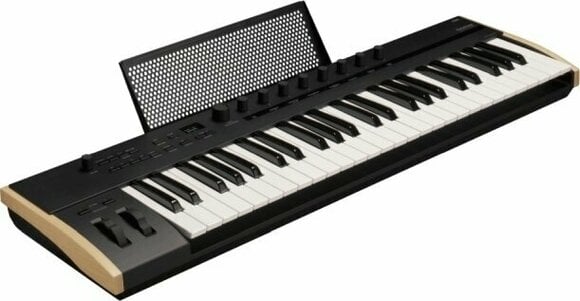MIDI keyboard Korg Keystage 49 - 4