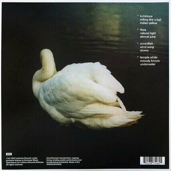 Disque vinyle Ludovico Einaudi - Underwater (2 LP) - 6