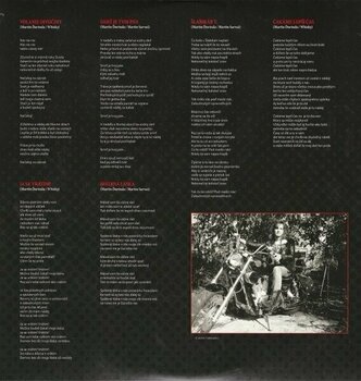 Disco de vinil Tublatanka - Volanie divočiny (Remastered) (LP) - 4