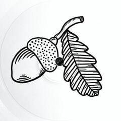 LP ploča Ed Sheeran - Autumn Variations (Limited Edition) (White Coloured) (LP) - 1