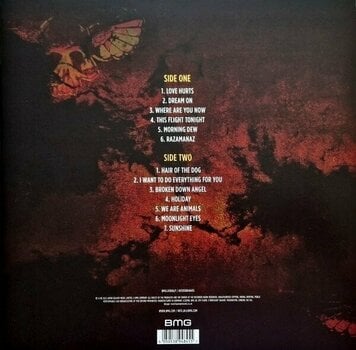 Disco in vinile Nazareth - Best Of (LP) - 4