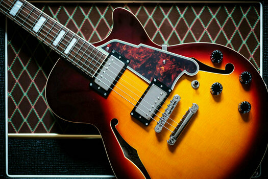 Guitarra semi-acústica D'Angelico Premier SS Kurt Rosenwinkel Honey Burst - 5