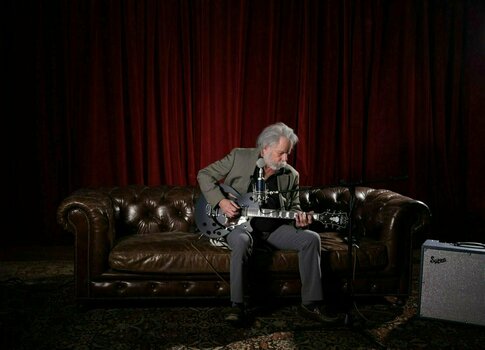 Jazz kitara (polakustična) D'Angelico Premier SS Bob Weir Signature Matte Stone - 2