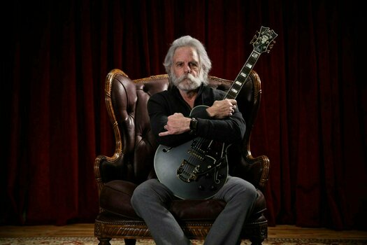 Semiakustická kytara D'Angelico Deluxe SS Bob Weir Signature Matte Stone - 4