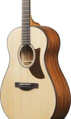Chitară acustică jumbo Ibanez AAM50-OPN Open Pore Natural Chitară acustică jumbo - 3