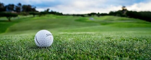 Golf Balls Titleist Velocity 2024 Green - 8