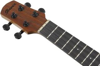 Koncertné ukulele Ibanez AUC10E-OPN Open Pore Natural Koncertné ukulele - 5