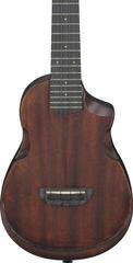 Koncertné ukulele Ibanez AUC14-OVL Violin Sunburst Koncertné ukulele - 3