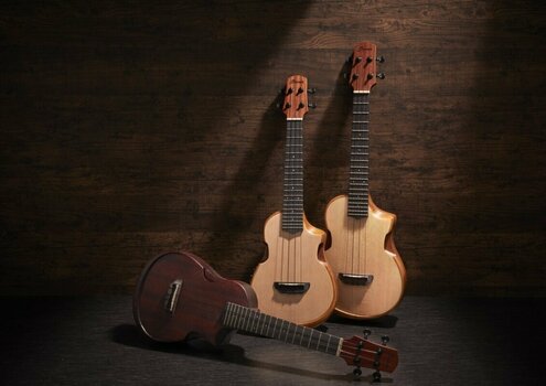 Tenorové ukulele Ibanez AUT10-OPN Tenorové ukulele - 14