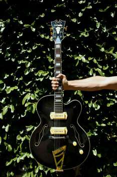 Halvakustisk gitarr D'Angelico Excel 59 Black - 5