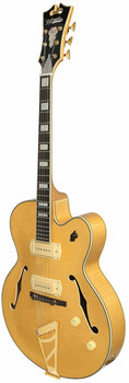 Polu-akustična gitara D'Angelico Excel 59 Natural-Tint - 5