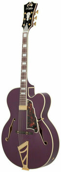 Semi-Acoustic Guitar D'Angelico Excel EXL-1 Matte Plum - 2