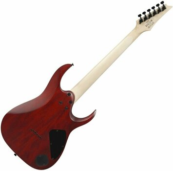 Elektrische gitaar Ibanez RGA42FML-TGF - 2