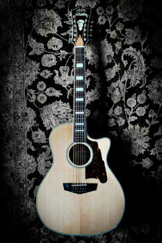 12-snarige elektrisch-akoestische gitaar D'Angelico Premier Fulton Natural - 2