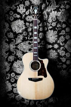 electro-acoustic guitar D'Angelico Premier Gramercy Natural - 6